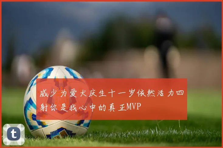威少为爱犬庆生十一岁依然活力四射你是我心中的真正MVP