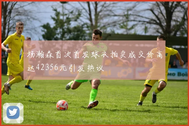 杨瀚森首次首发球衣拍卖成交价高达42356元引发热议