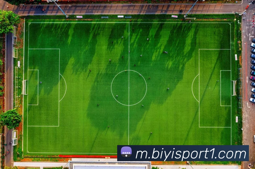 多媒体互动体验